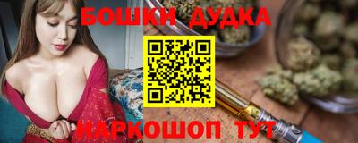 стаф Обь