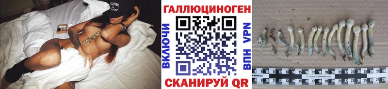 где продают   Прокопьевск  Псилоцибиновые грибы Psilocybine cubensis 