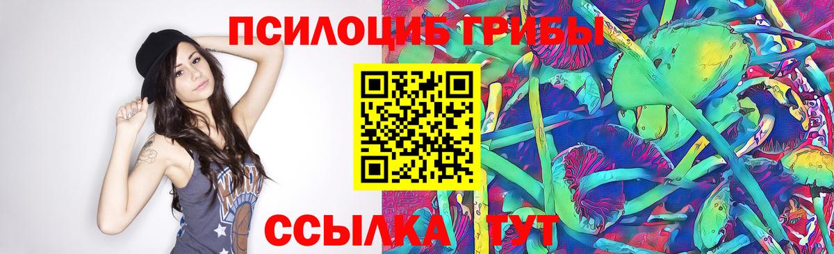Галлюциногенные грибы Psilocybine cubensis  цены   Прокопьевск  Вход с VPN 