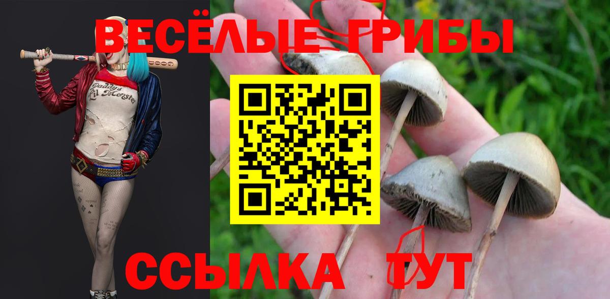 Галлюциногенные грибы Cubensis Прокопьевск